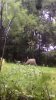 01DF2AD5-E713-4295-8624-A696085D1891.png