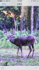 BA260549-B7B7-4FDD-87D3-EC1B279C1816.png