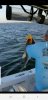 Screenshot_20190911-123150_Facebook.jpg