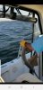 Screenshot_20190911-123311_Facebook.jpg