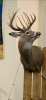 C61BF4CF-4DB2-4B9F-B5CD-F1B057C4F081.png