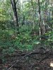 Image1568465923.705629.jpg