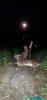 20190914_210037.jpeg