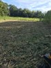 IMG_0166.JPG