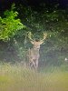 IMG_0168.JPG
