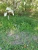 20190918_120058.jpg
