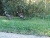 20190918_165117.jpg