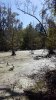 20190920_114823.jpeg
