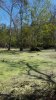 20190920_114817.jpeg
