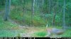 A5979989-8B91-4DF2-8F27-F7B59B42FDFF.jpeg