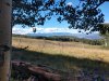 IMG_20190920_101731933_HDR.jpeg