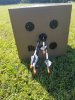 20190927_154610.jpeg