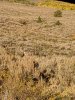 IMG_20190924_181410.jpg