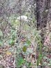20190928_073902.jpg
