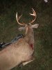 Image1569989914.526650.jpg