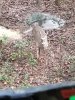 20191002_073640.jpg