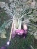 IMG_20191004_150026.jpg