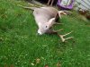 20191006_094115.jpg