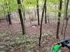 20191007_172215.jpg