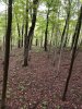20191007_172204.jpg