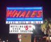 whales.jpg