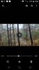 Screenshot_20191012-202817.jpeg