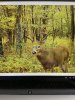 0CBECEED-5A5C-4210-A8EF-464515883F3F.jpeg