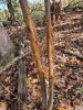 20191014_124908.jpeg