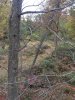 IMG_2481.JPG