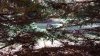 20191019_142851.jpg