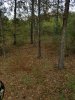 20191019_152431.jpeg