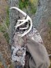 20191019_162301.jpeg
