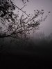 20191020_065613.jpeg