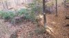 20191020_155739.jpg