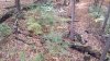 20191020_155659.jpg