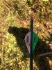 Image1571674748.841725.jpg