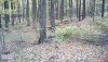 IMG_20191022_115522_hdr.jpg