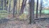 IMG_20191022_115514_hdr.jpg