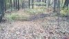 IMG_20191022_115505_hdr.jpg