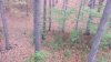 20191023_075047.jpg