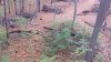 20191023_075036.jpg