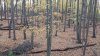 20191023_075027.jpg