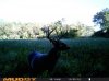 8187926D-97FB-4179-9E65-C4177D31BE42.jpg