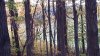 20191023_083215.jpg