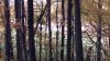 20191023_083122.jpg