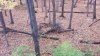 20191023_085021.jpg