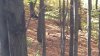 20191023_094835.jpg