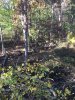Image1571864062.734802.jpg