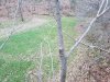20191023_173816.jpg