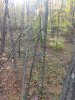 IMG_20191024_085958181.jpg